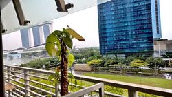 The Sail @ Marina Bay (D1), Apartment #578781631